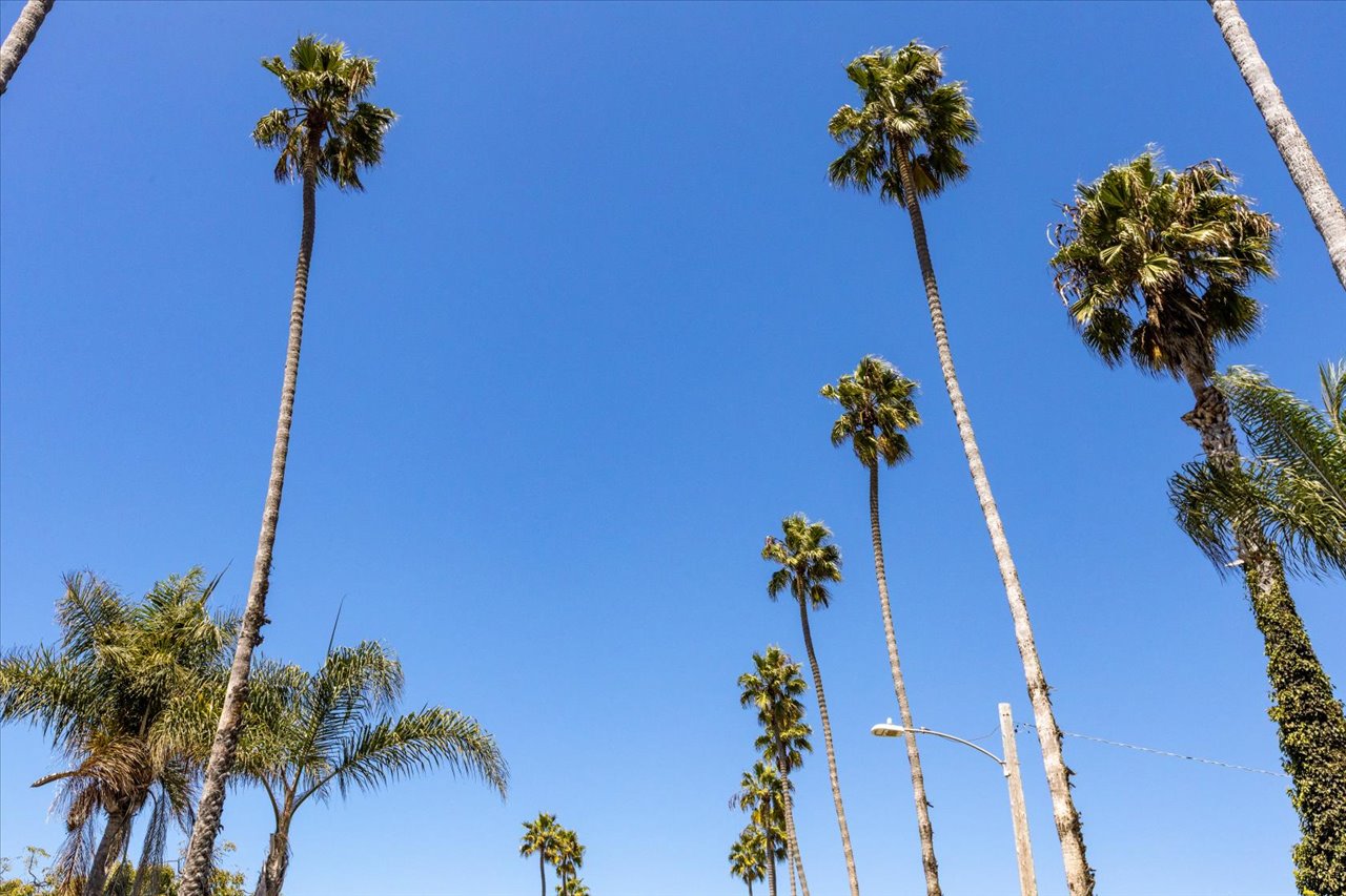01-1923-Tremont-Street-Oceanside-Remain-Street-Media-San-Diego-Real-Estate-Photography-1125
